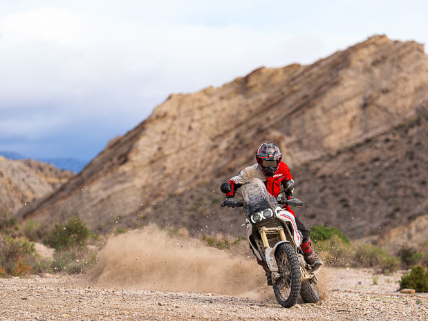 ducati desertx 2026 100