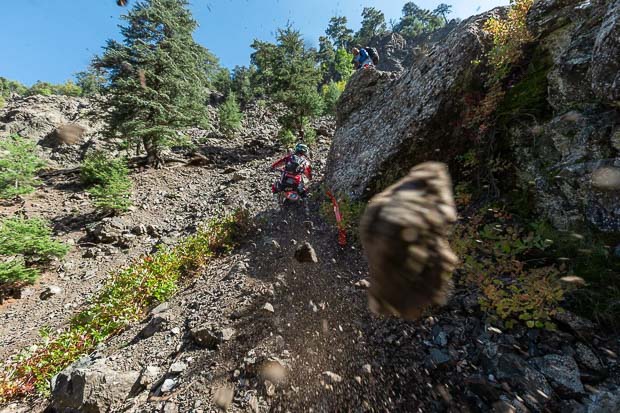 sea to sky 2026 forest race 2