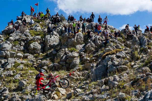 sea to sky 2026 forest race 26