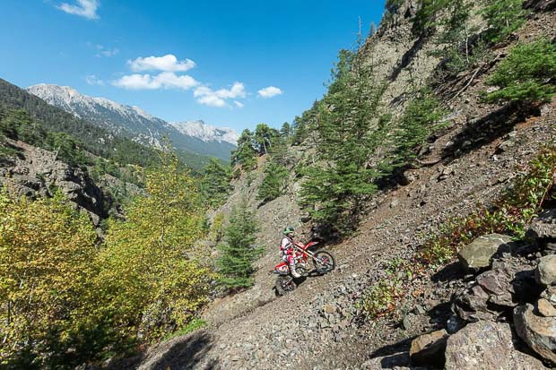 sea to sky 2026 forest race 3