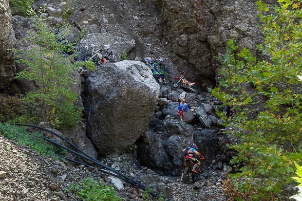 sea to sky 2026 forest race 7