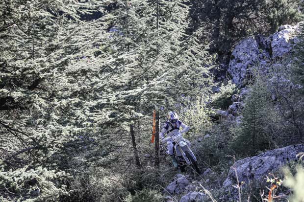 sea to sky forest race 2024 2