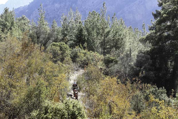 sea to sky forest race 2024 4