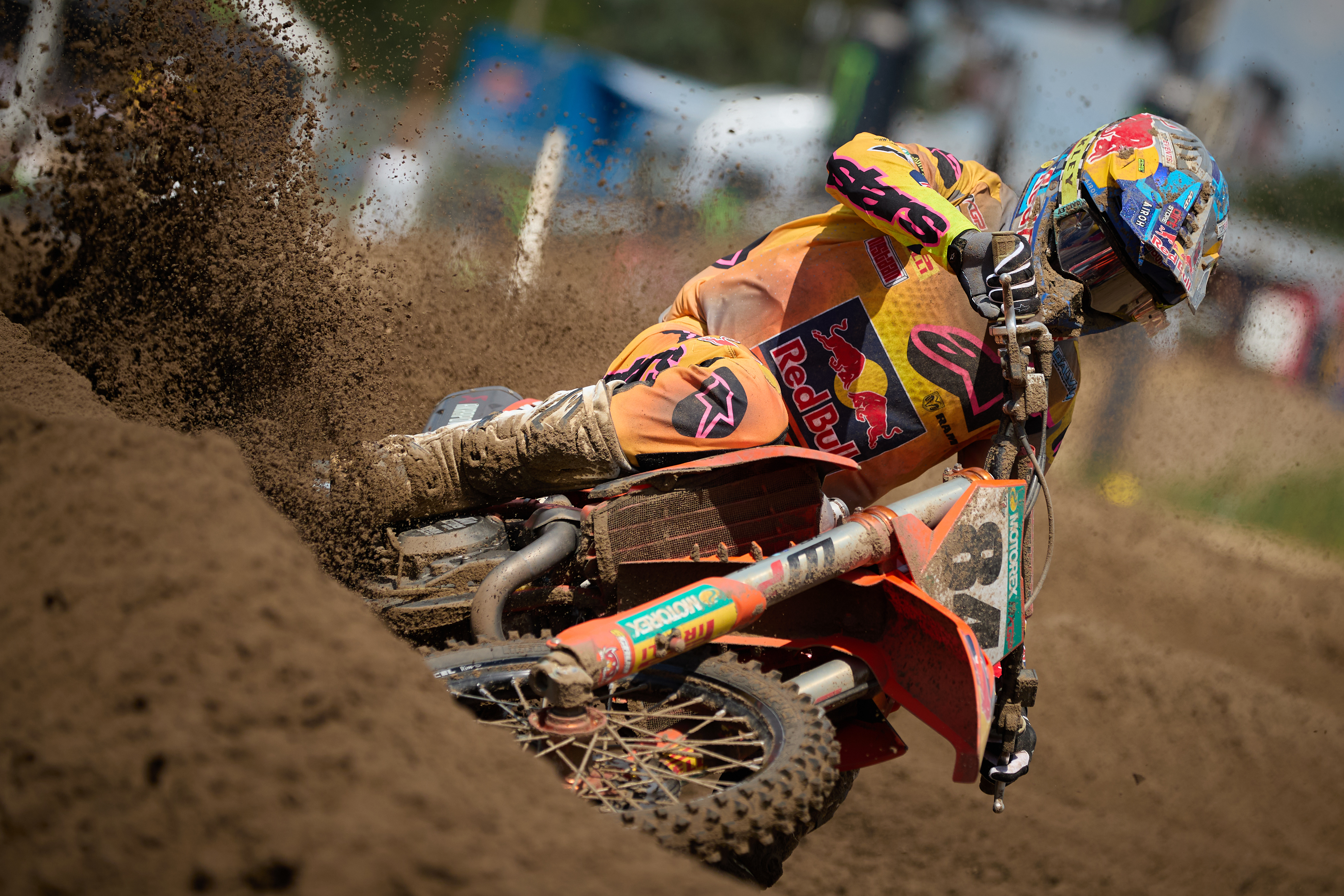 herlings lommel gross 00