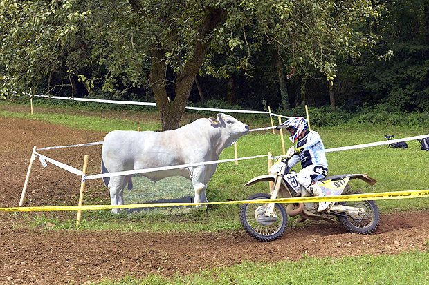 2025 08 27 ambiente cross testkuh
