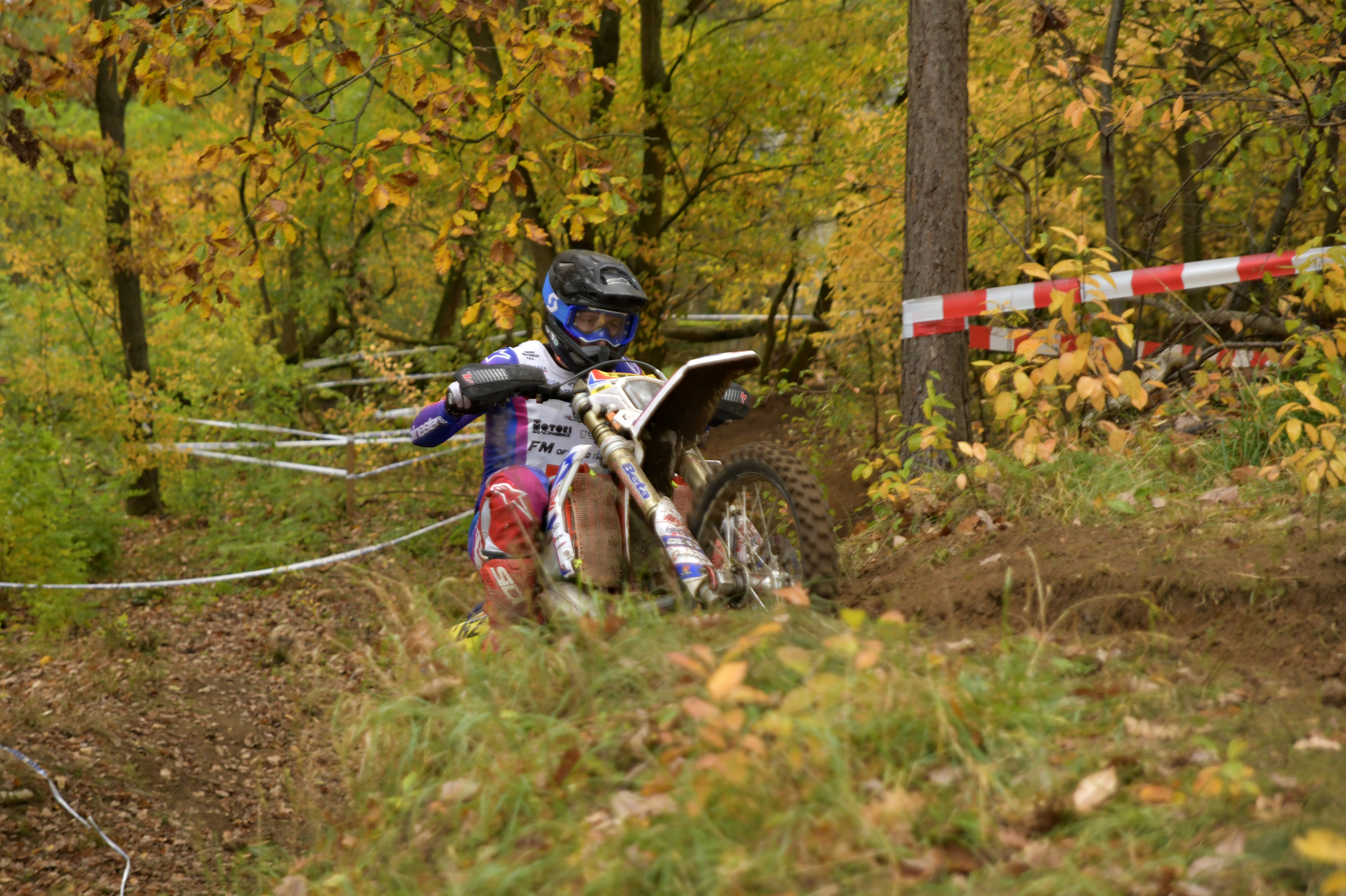 fischeder luca beta 2