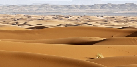 merzouga dunes 2015